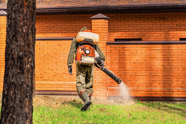 Trusted Termite Control service in Lordsburg, NM - Nex Pest Control